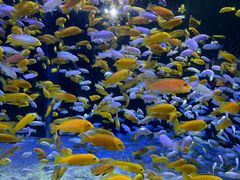 -成都浩海立方海洋公园