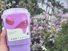-星满杯TEAFUL(罗湖东门店)
