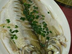 太湖白水鱼-石家饭店原址