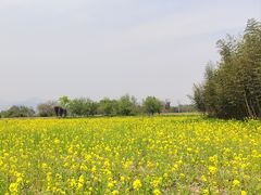 -良渚古城遗址公园