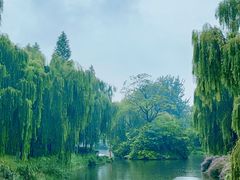 -济南大明湖景区