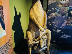 -上海海洋水族馆