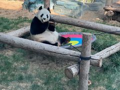 -大连森林动物园