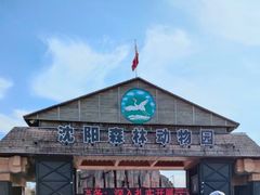 -沈阳森林动物园