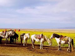 -青海湖国家重点风景名胜区