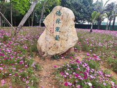 -华侨公园
