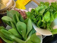 小青菜-新招鲜本地鸡窝(平凉路店)