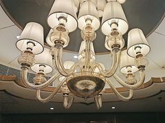 -新雅粤菜馆(南京东路店)