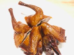 -锦粤宫·精致粤菜(深圳北站店)