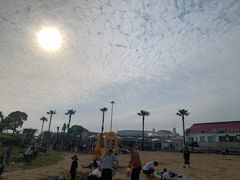 -碧海金沙