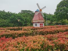 -东莞植物园