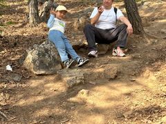 -沈阳辉山风景区