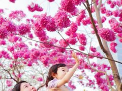 -万科前海企业公馆