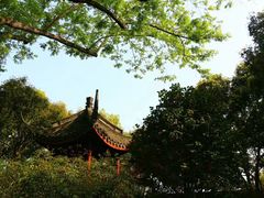 -上海醉白池公园