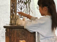 -猫小院猫主题餐厅(南锣旗舰店)