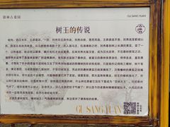 -御林古桑园