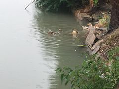 -乡乐园蟹庄·阳澄湖农家乐