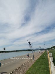 -大美儿童世界(奥林匹克水上公园店)