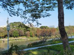 -怡海公园(桂城街道)