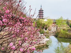 -盘门景区
