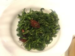 拌枸杞芽-金鼎轩(亚运村店)