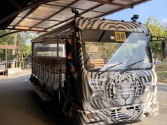 -清迈夜间动物园