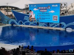 -上海海昌海洋公园