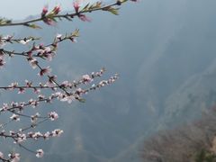 -圣莲山风景区