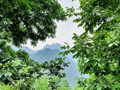 -秦岭风景区