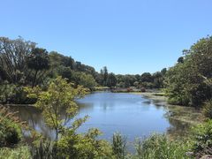 -墨尔本皇家植物园
