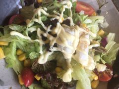 -天正河鲀·河豚亭(大连店)