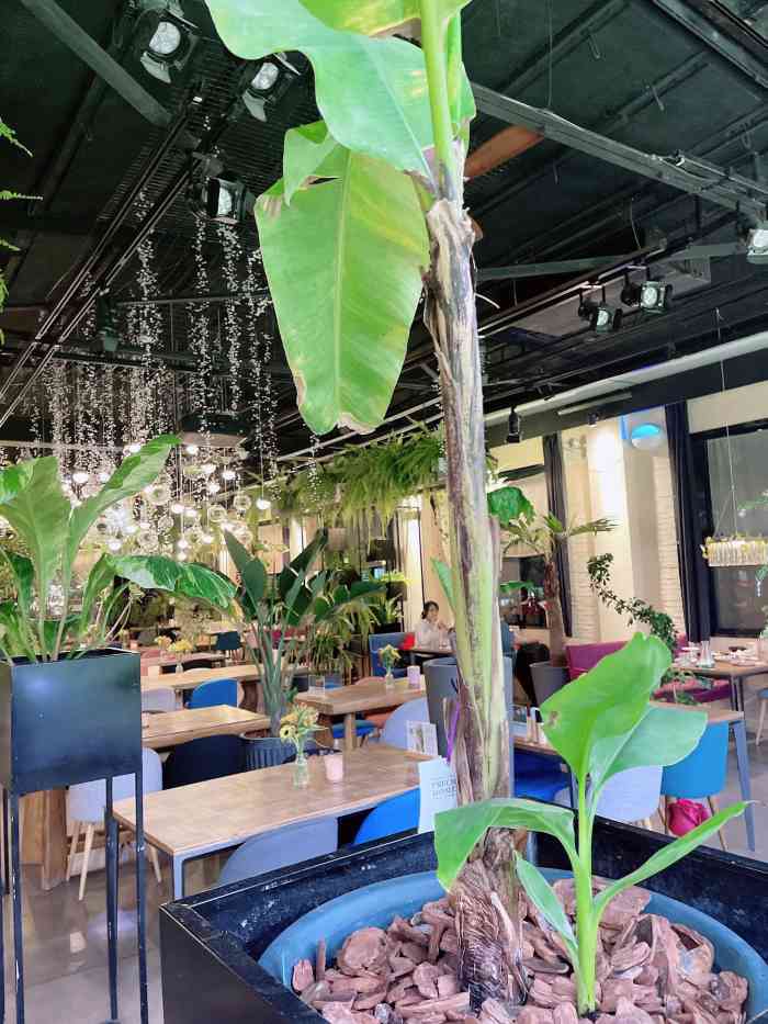 珍爱时刻·botanica植物园餐厅-"t骨还可以呀,沙拉yebucuo.