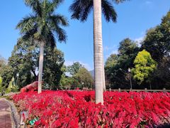 -广州市流溪河国家森林公园