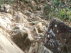 -梧桐山风景名胜区