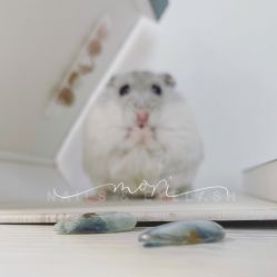 -森日式美甲沙龙MORI NAIL总店