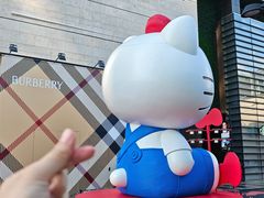 -深圳湾万象城(南山店)