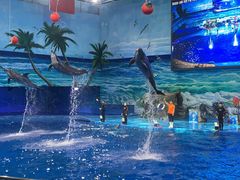 -多彩贵州城极地海洋世界