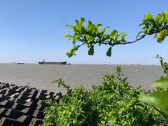 -上海滨江森林公园