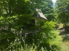 -白川乡与五箇山的合掌构造村落