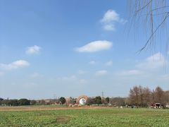 -广富林郊野公园