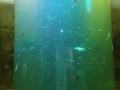 -泗洪洪泽湖湿地景区
