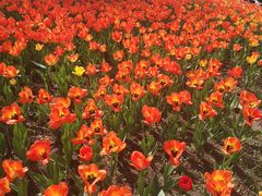 -长春公园(普阳街道)