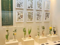 -广东中医药博物馆