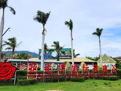 -亚龙湾国际玫瑰谷