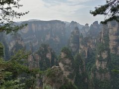 -唐师傅湘西名菜馆(武陵路店)