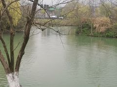 -西溪国家湿地公园