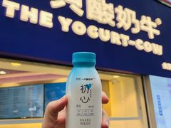 -一只酸奶牛(八一路店)