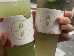 -树夏(建设路店)