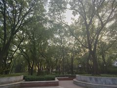 -玲珑塔公园