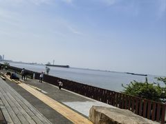 -上海滨江森林公园